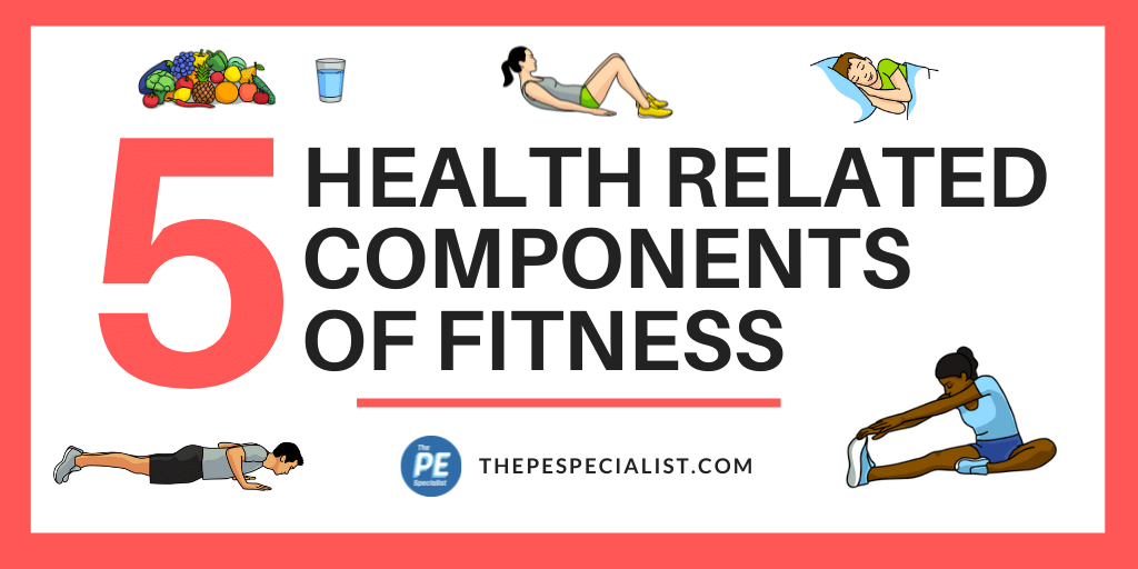 Get Fit for Life: Understanding the Components of Health-Related Fitness