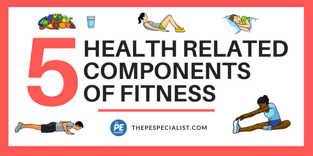 The 5 Components Of Health Related Fitness Explained